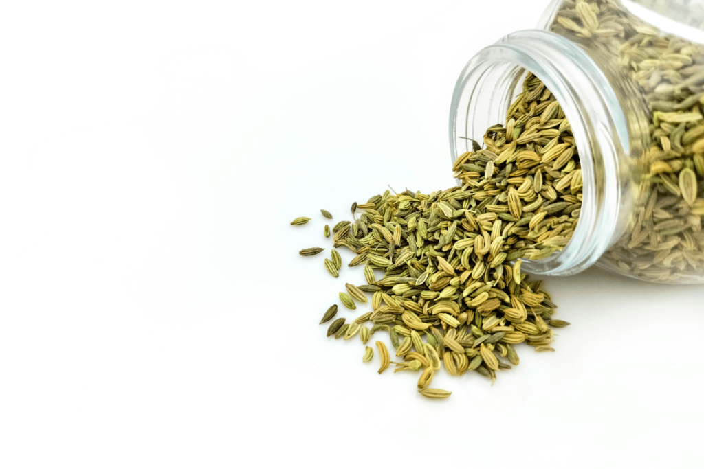 Fennel Seeds