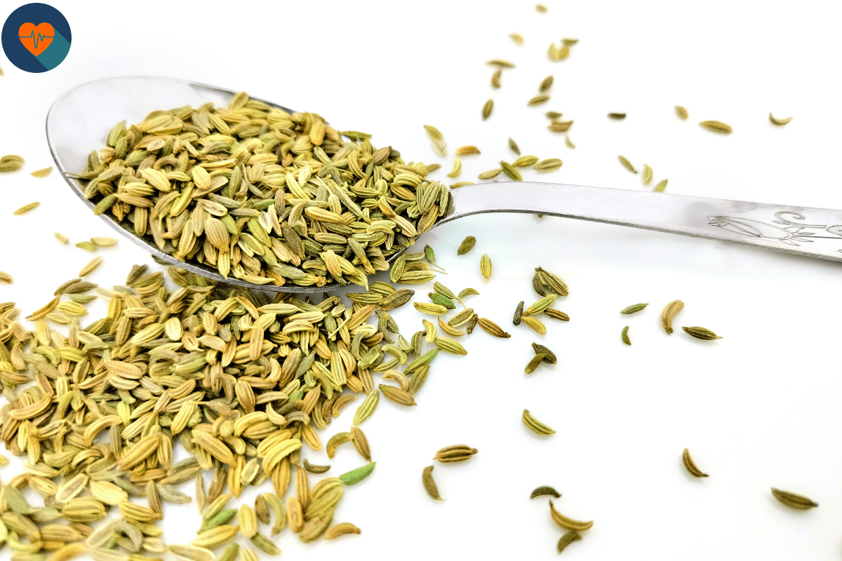 Fennel Seeds